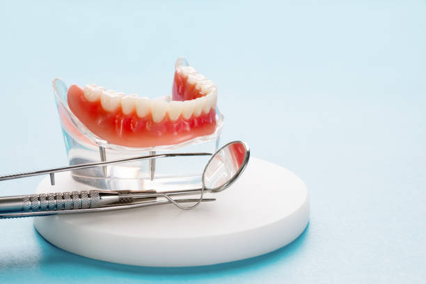 Best Dental Fillings (Composite and Amalgam)  in Langhorne Manor, PA